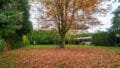 Gemeinschaftsgarten