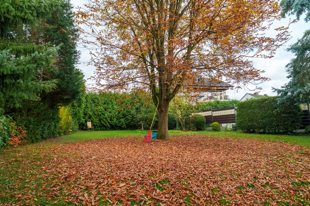 Gemeinschaftsgarten